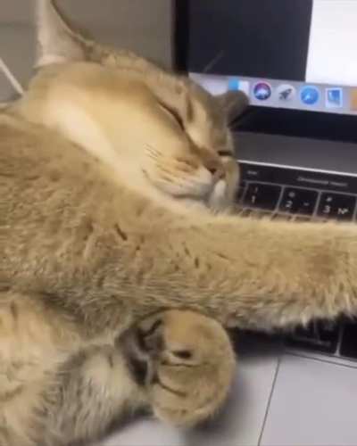 Узбагойся..