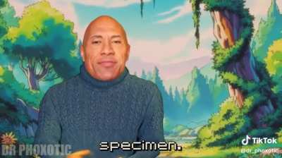 The rock catching a Pokemon 