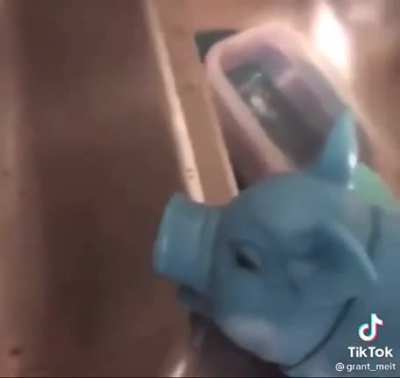 When your blue pig gets into the wrong stash
