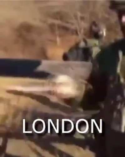 London