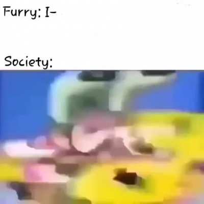 Furry_irl