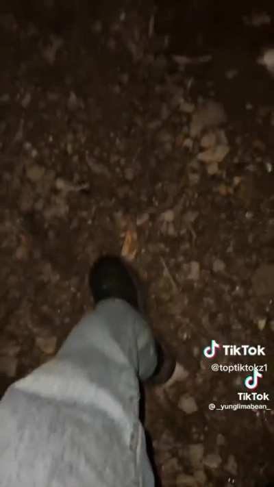 He Sacrifice His Own Life To Get This Footage (Not My OC)
