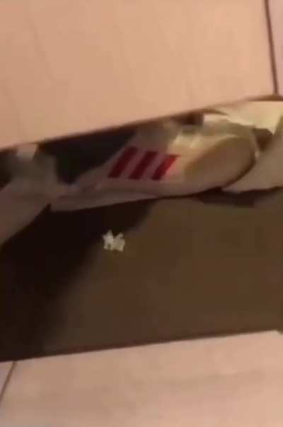 Maybe Maybe Maybe