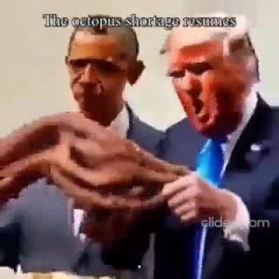 Octopi 🤤