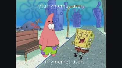 furries on reddit be like