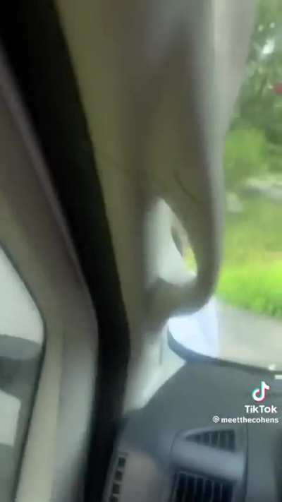 Karen Almost Gets Ran Over