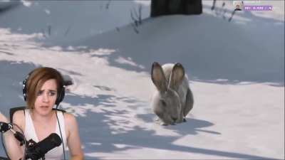 Cute Bunny