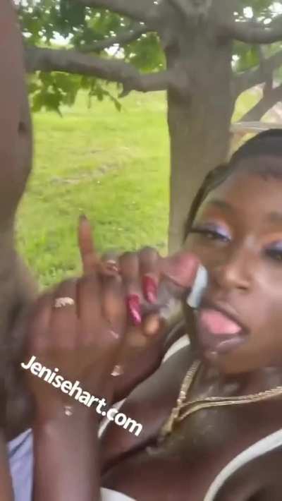The 