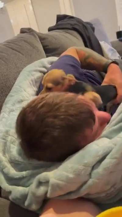 man returns home after 32 days of military training - dog gives him a terrific homecoming