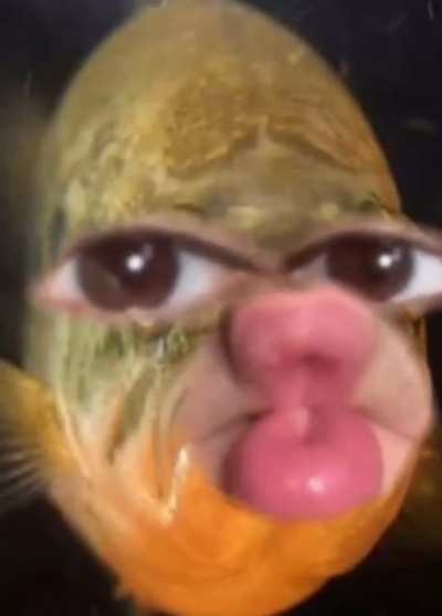 Those poor fishies