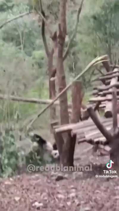Kkkk