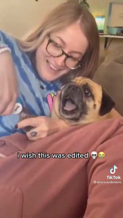Such a dramatic pug!