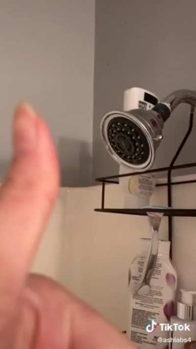 Beans in a shower head