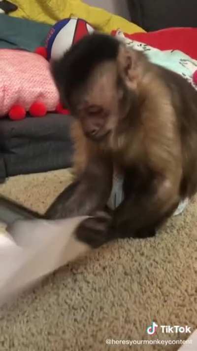 Trying to play harmonica