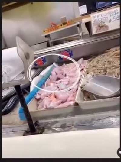 Свежее