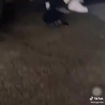 Turned into a snake