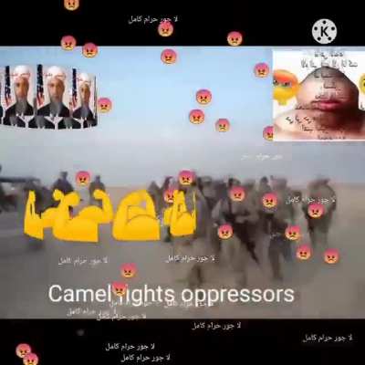 🔥🔥🔥🔥🔥<wbr>🔥Came<wbr>l vs US army💪<wbr>💪💪💪🔥🔥<wbr>🔥🔥🔥🔥🔥<wbr>allah only🤲<wbr>🤲🤲🤲🤲🤲<wbr>🤲🤲🤲🤲🤲<wbr>🔥🔥🔥