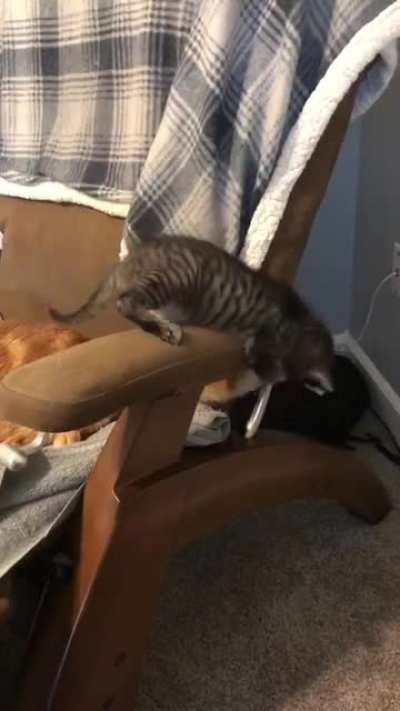 Hey it’s a tail!