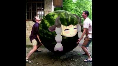 Watamelon xd