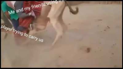 Sowwy bro,but chicom with 4x is funny