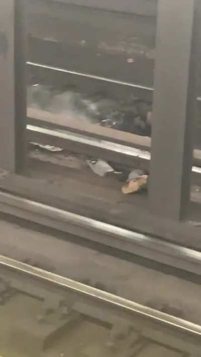 Homeless man cut in half on train tracks