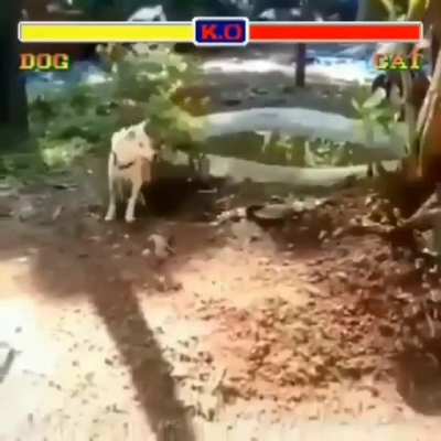 Flawless Victory