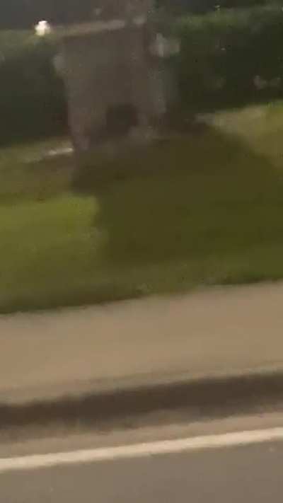 I literally just saw someone fully wrapped in plastic wrap rolling on (a skateboard?) backwards at night in a thunderstorm in the middle of the road and I just…. Wtf? I wish the video was better.