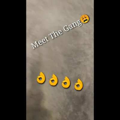 Cmon meet them