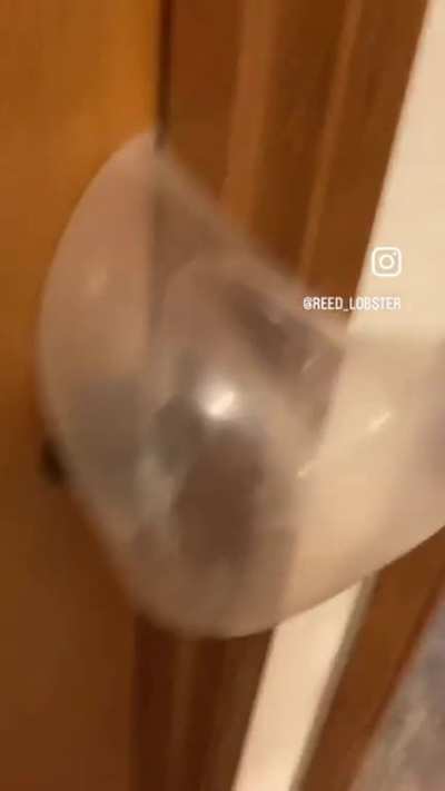 Pop