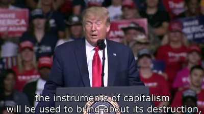 Thank you Donald, very based