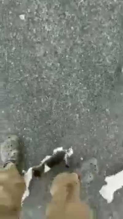 Surprise, surprise!