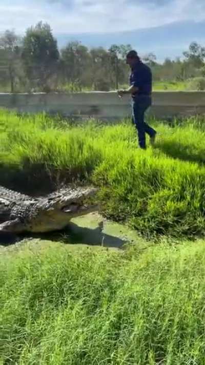 No shoes , socks, wearing jeans & touching the swamp water