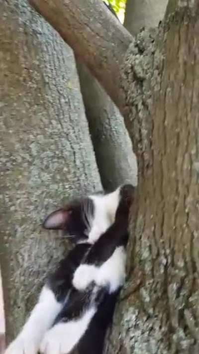 Прико<wbr>рнул чутка