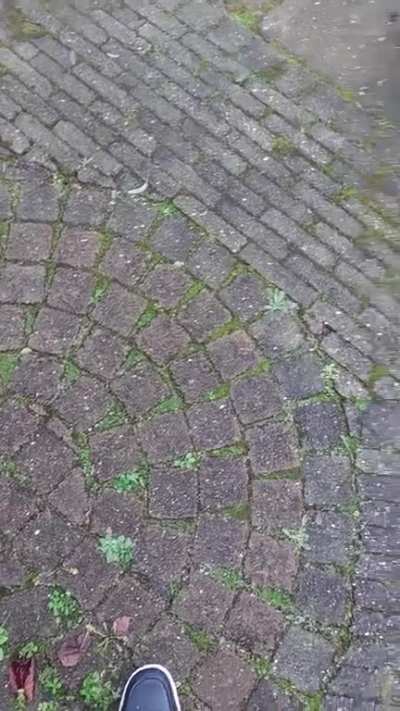 NUUUN