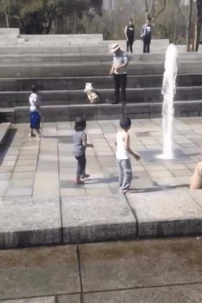 I've seen a lot of children fall over. This one made me laugh the hardest.