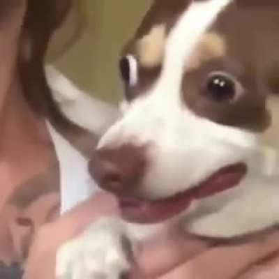 I guess you can call this a scream?