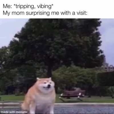 Heyyyyyy