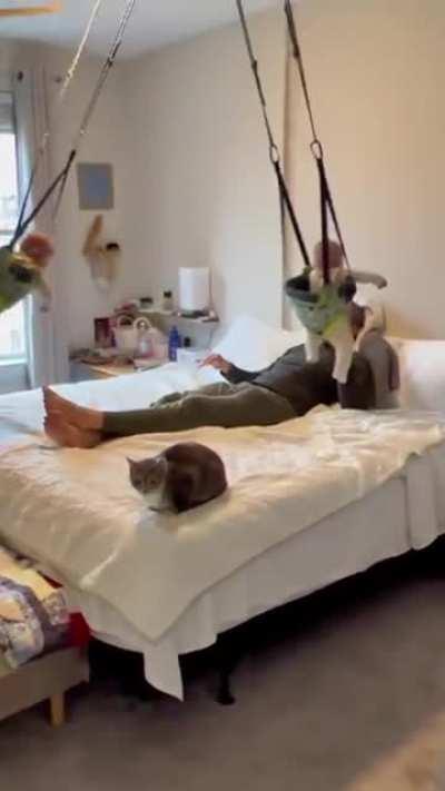 We all know those ceiling hooks and ropes were there long before the new users, probably even the cause.