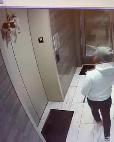 The dog had just accepted its fate until this kind stranger came to the rescue.