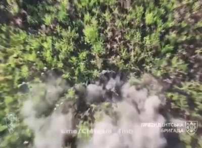 Ukraine's Separate Presidential Brigade 4th Mechanized Battalion 