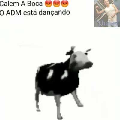 CALEM A BOCA 😡😡😡 o adm está dançando 😳✊ (quem pegar o video e gay)