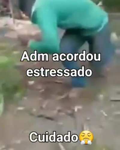 Brabor