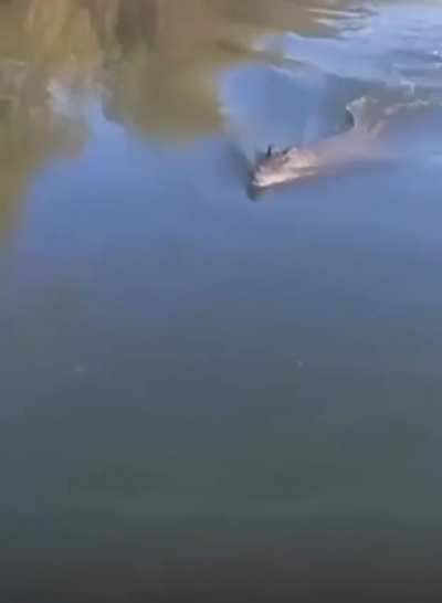 sometimes fishing is more difficult than usual