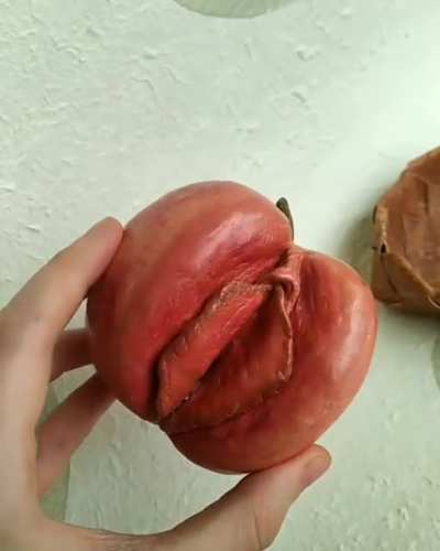 Juiciest of the apples