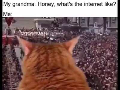 Theory of da internet