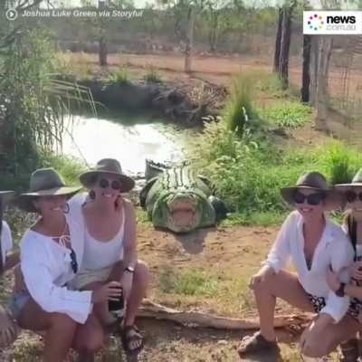 Smile for the crocodile