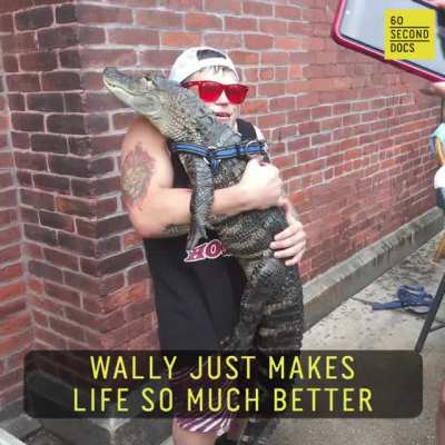 Wally makes everybody jolly