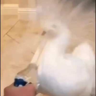 NOOOOOOOOOOOOOOO