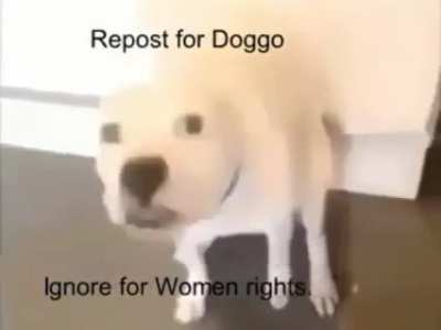 Hmmmmm