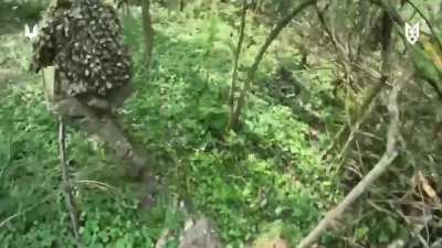 Ukrainian Sabotage and Reconnaissance Group ambush 8 Russian soldiers during a raid in Belgorod Region